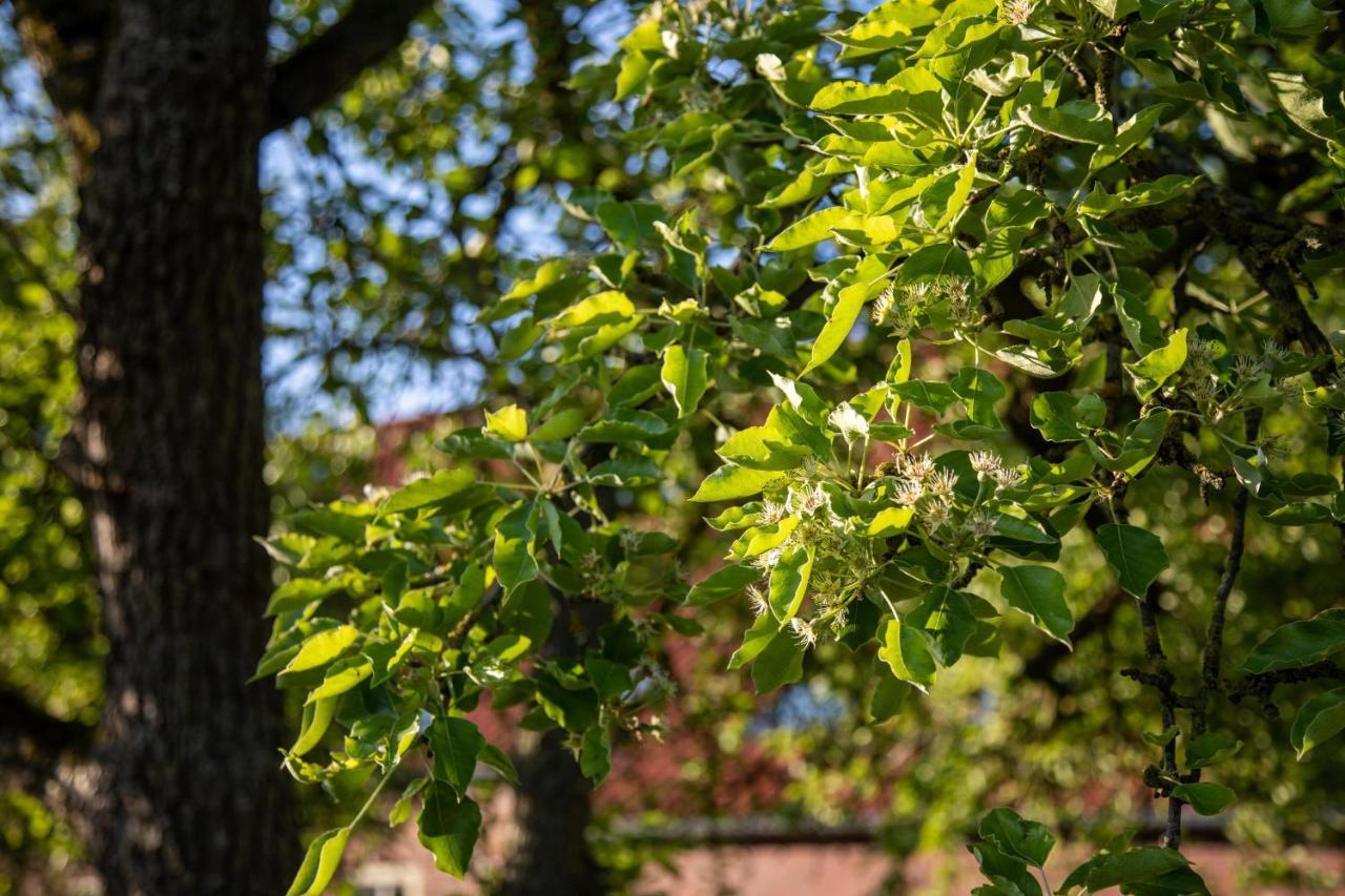 Gulfhof Boomgaarden Boomgaarden 16 Albert Krummhörn 外观 照片