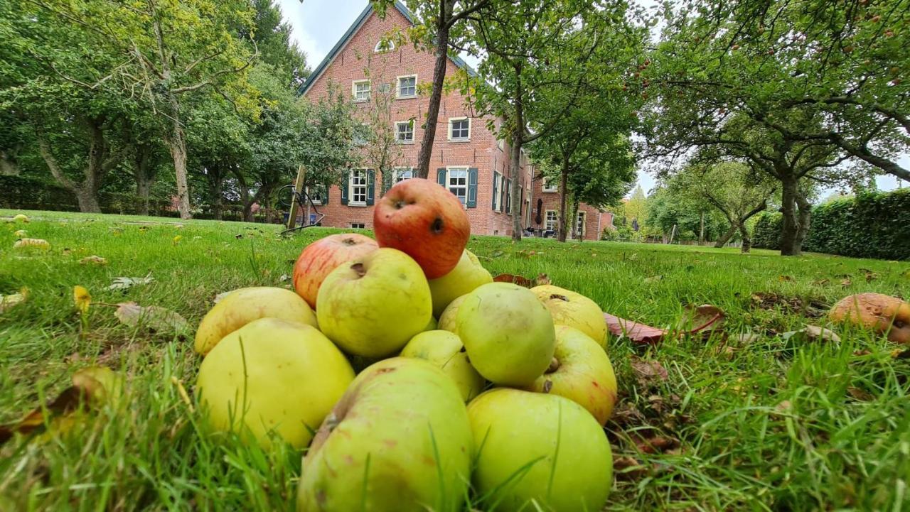 Gulfhof Boomgaarden Boomgaarden 16 Albert Krummhörn 外观 照片